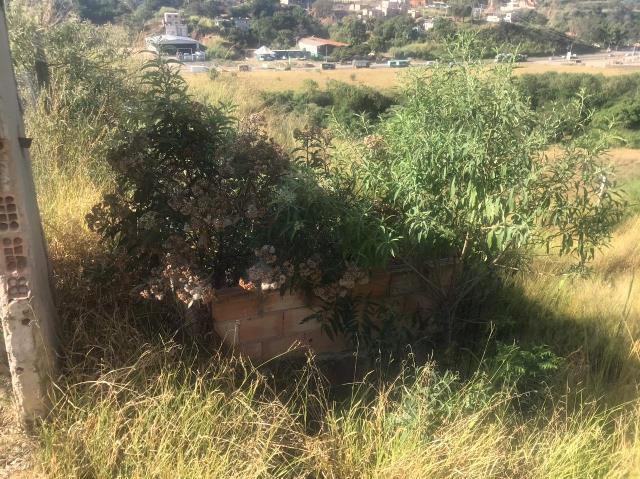 Lote, Jardim Vitória, 0 Quarto, 0 Vaga