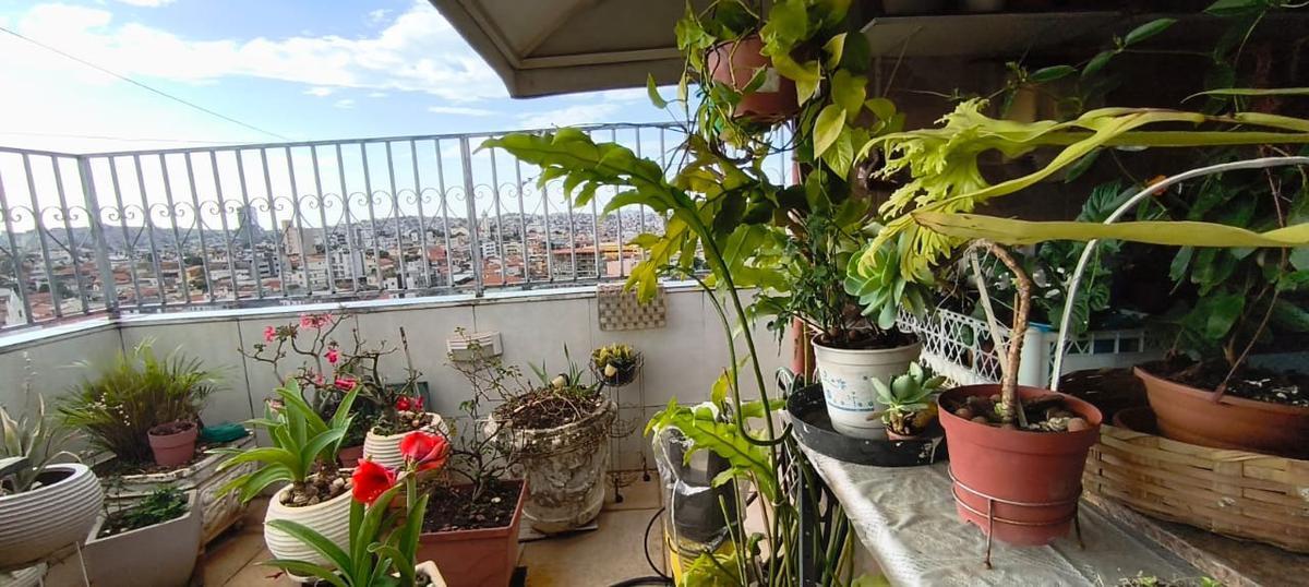 Apartamento, Nova Floresta, 3 Quartos, 2 Vagas, 1 Suíte