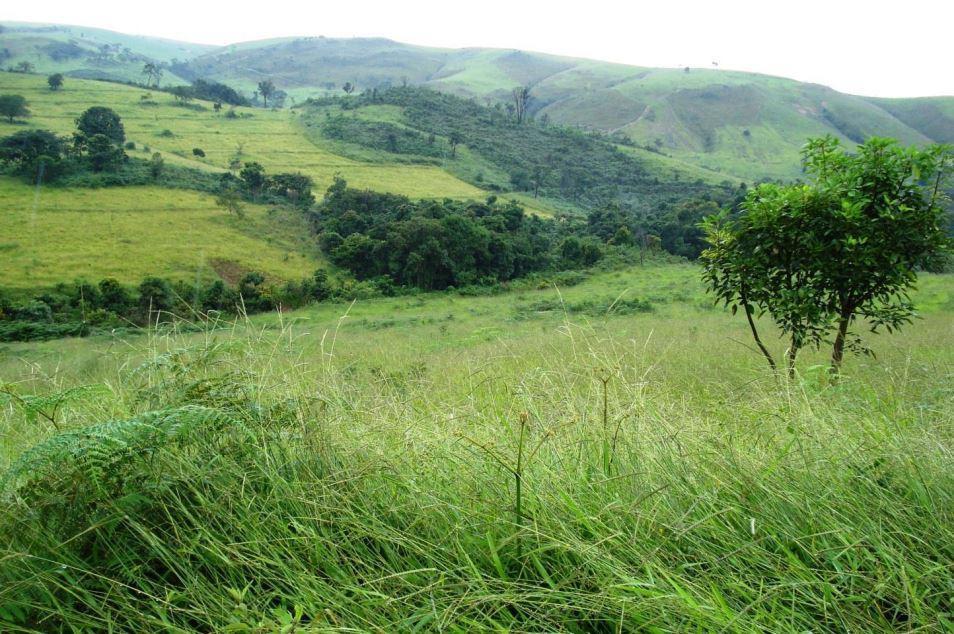 Fazenda, Zona Rural, 2 Quartos, 1 Vaga, 1 Suíte