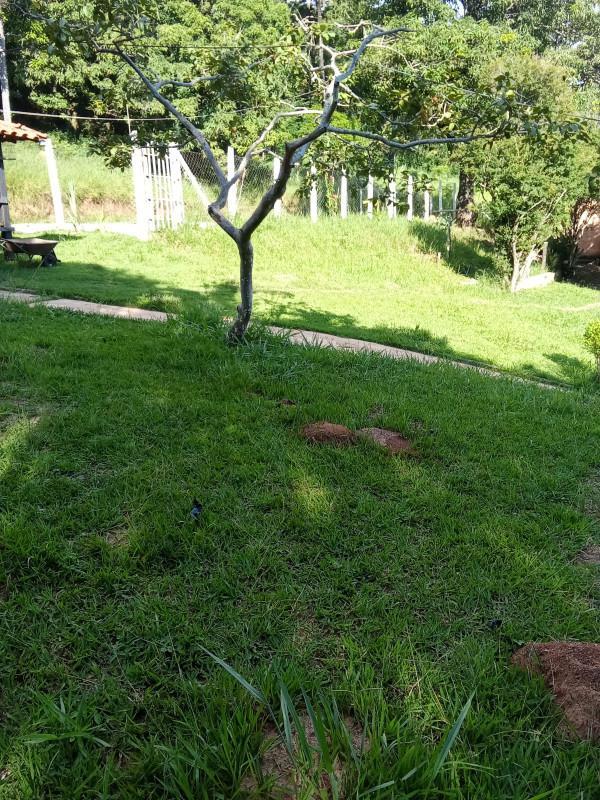 Fazenda, Santo Afonso, 6 Quartos, 10 Vagas