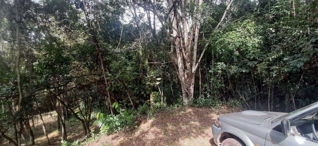 Fazenda, Arraial Velho, 0 Quarto, 0 Vaga
