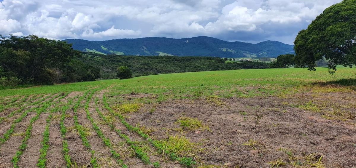 Fazenda, Centro, 1 Quarto, 1 Vaga, 1 Suíte
