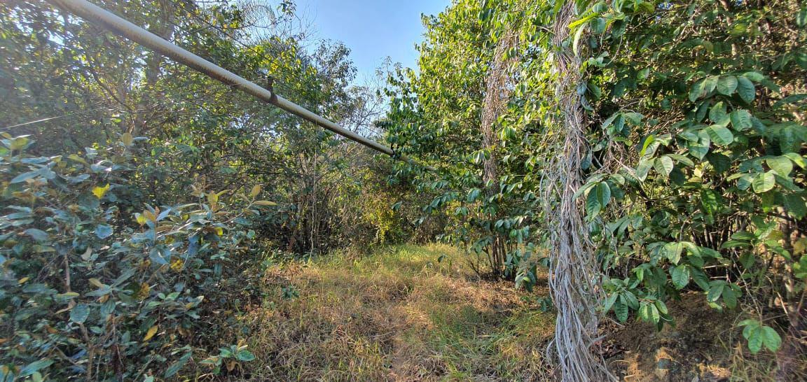 Lote, Zona Rural, 0 Quarto, 0 Vaga