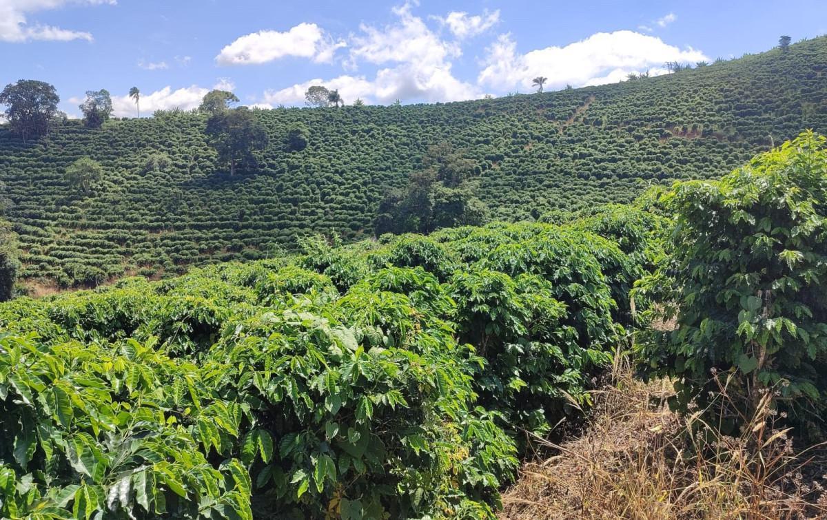 Fazenda, Zona Rural, 0 Quarto, 0 Vaga