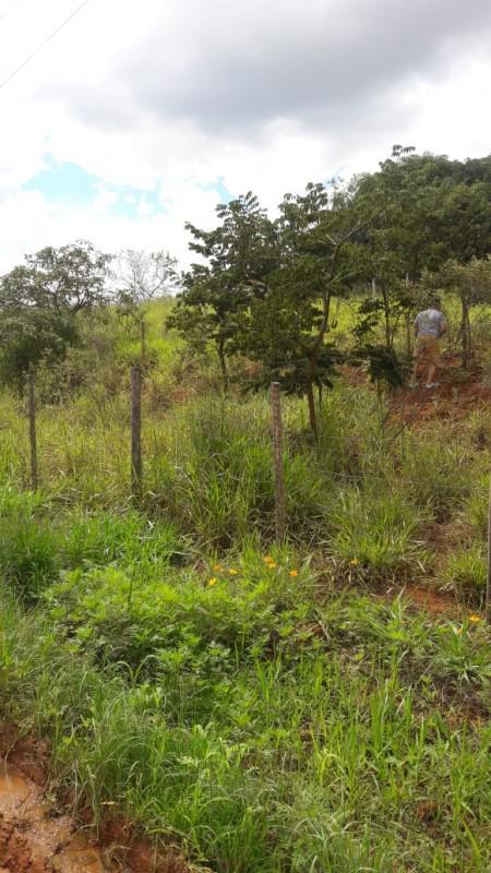 Lote, Atenas, 0 Quarto, 0 Vaga