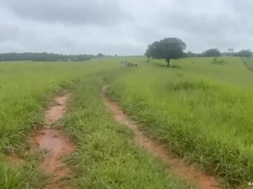 Fazenda, Zona Rural, 0 Quarto, 0 Vaga