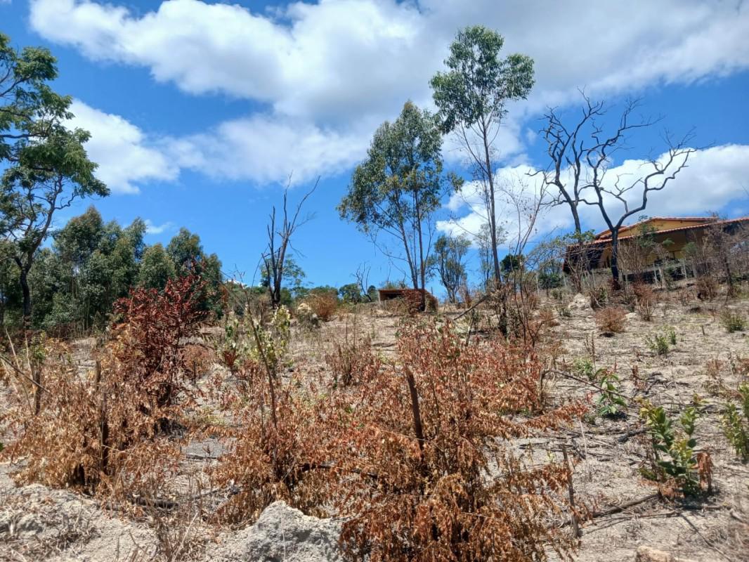 Lote, Roças Novas, 0 Quarto, 0 Vaga