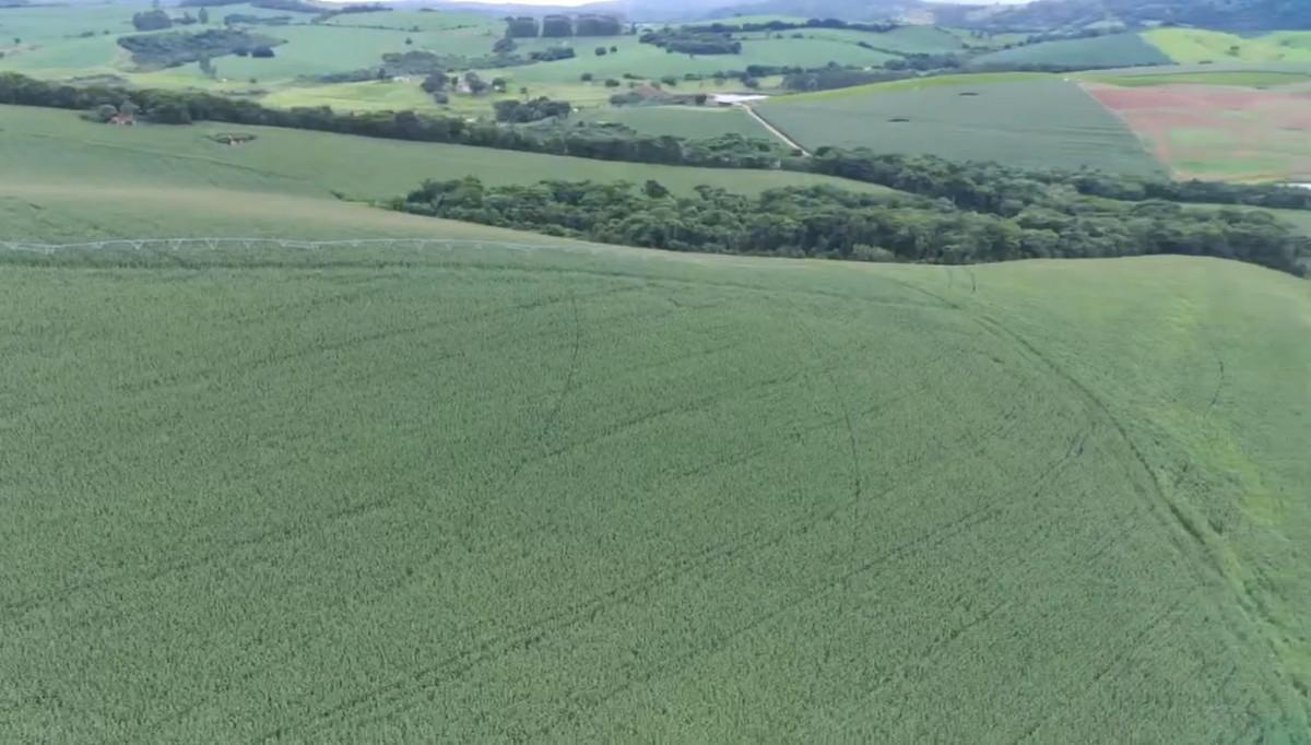 Fazenda, Zona Rural, 0 Quarto, 0 Vaga