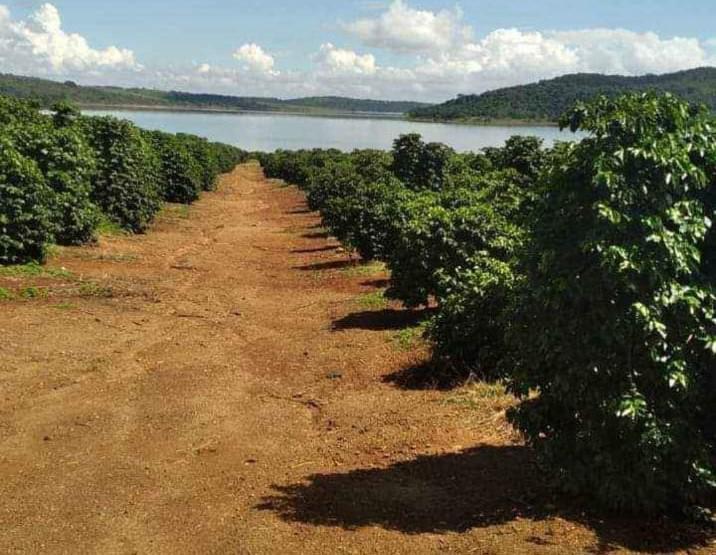 Fazenda, Zona Rural, 1 Quarto, 0 Vaga