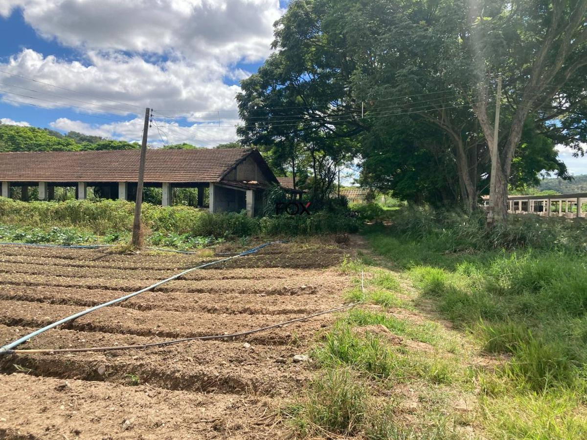 Lote, Inácia de Carvalho, 0 Quarto, 0 Vaga