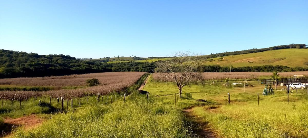 Fazenda, Zona Rural, 3 Quartos, 0 Vaga