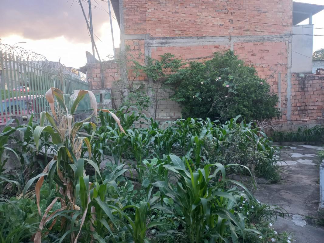 Lote, Planalto, 0 Quarto, 0 Vaga