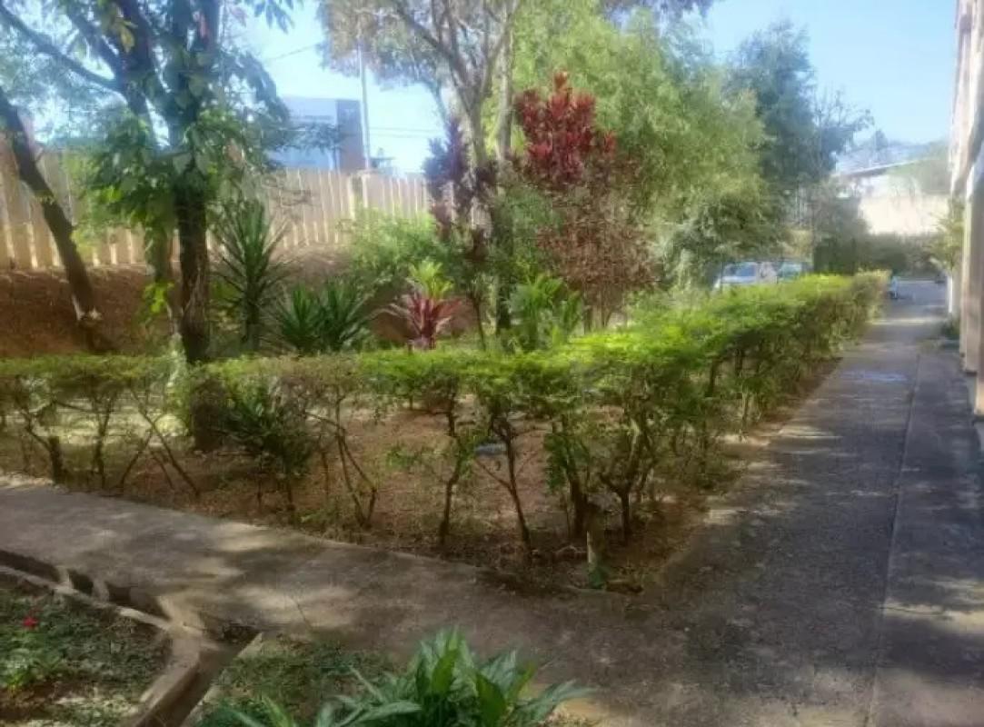 Apartamento, Santa Amélia, 3 Quartos, 1 Vaga