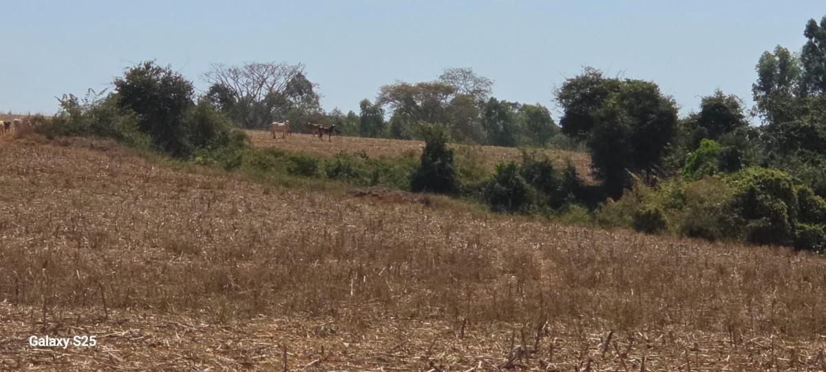 Fazenda, Centro, 1 Quarto, 21 Vagas, 1 Suíte