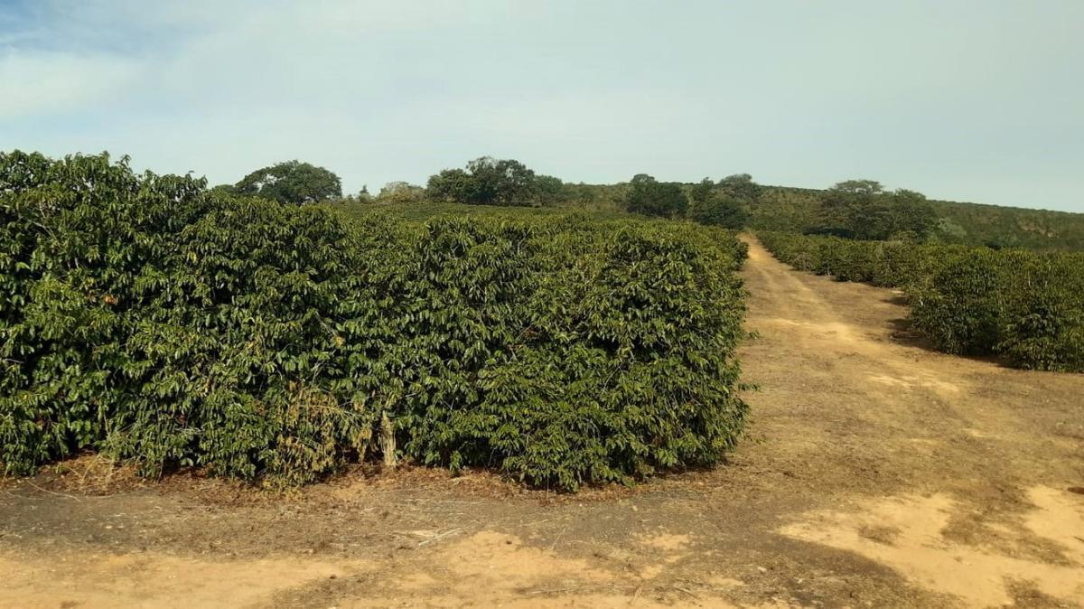 Fazenda, Centro, 1 Quarto, 1 Vaga, 1 Suíte