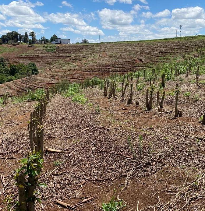 Fazenda, Zona Rural, 0 Quarto, 0 Vaga