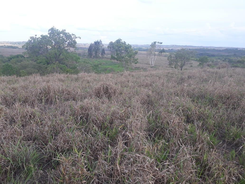 Lote, Centro, 3 Quartos, 0 Vaga