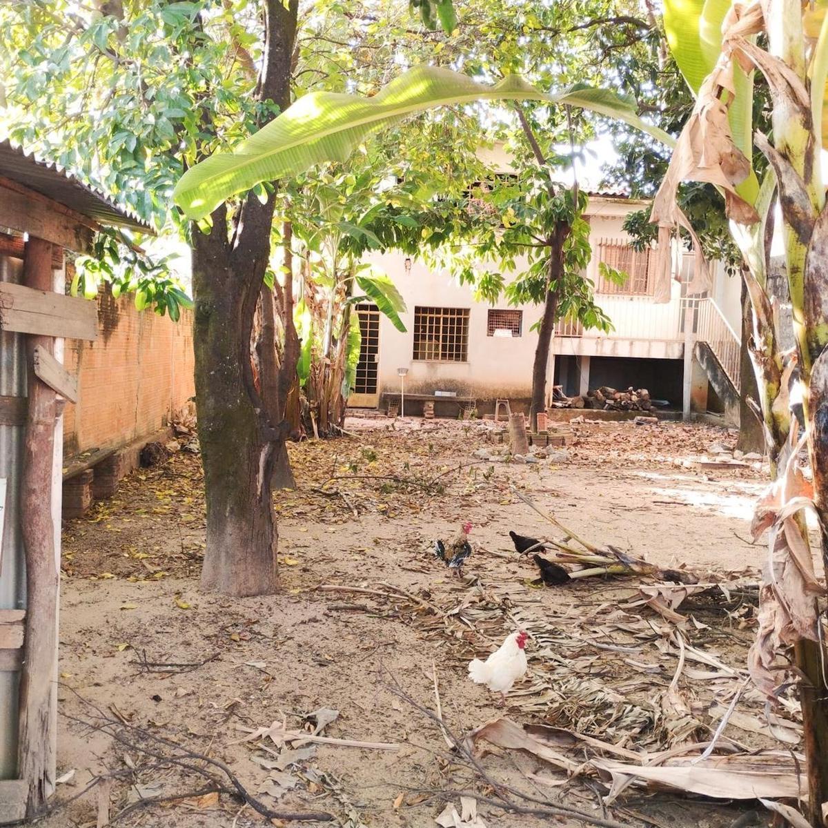 Lote, Serrano, 1 Quarto, 8 Vagas