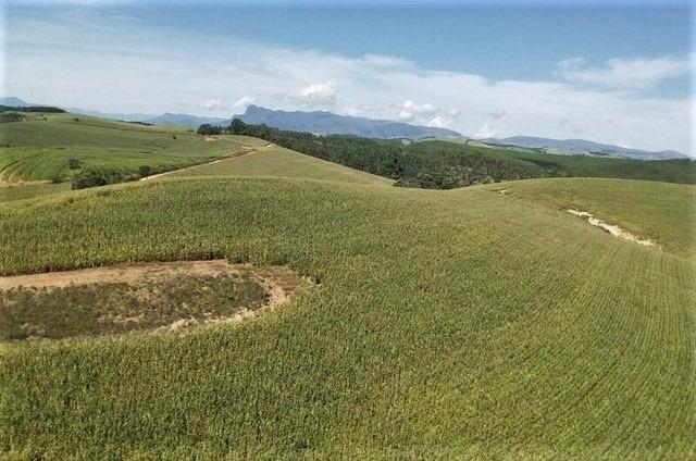 Fazenda, Centro, 7 Quartos, 2 Vagas