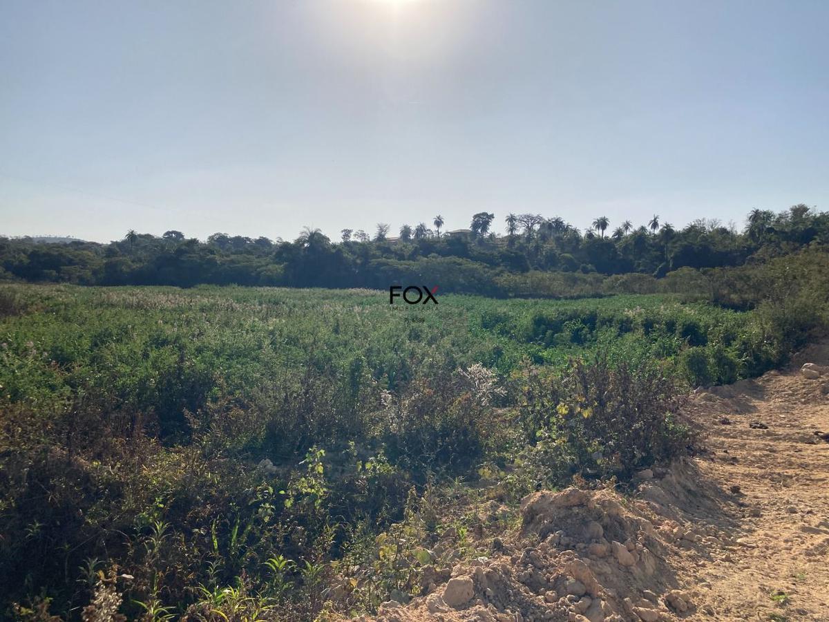 Lote, Centro, 0 Quarto, 0 Vaga