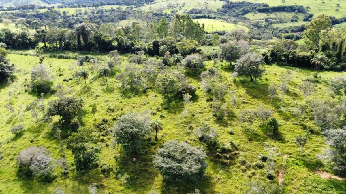 Fazenda, Centro, 0 Quarto, 0 Vaga