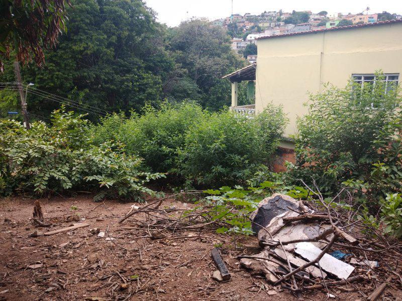 Lote, Dea Marly, 0 Quarto, 0 Vaga