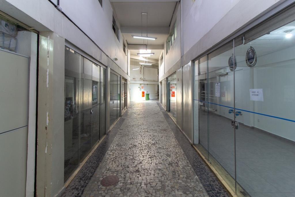 Andar, Floresta, 0 Quarto, 0 Vaga