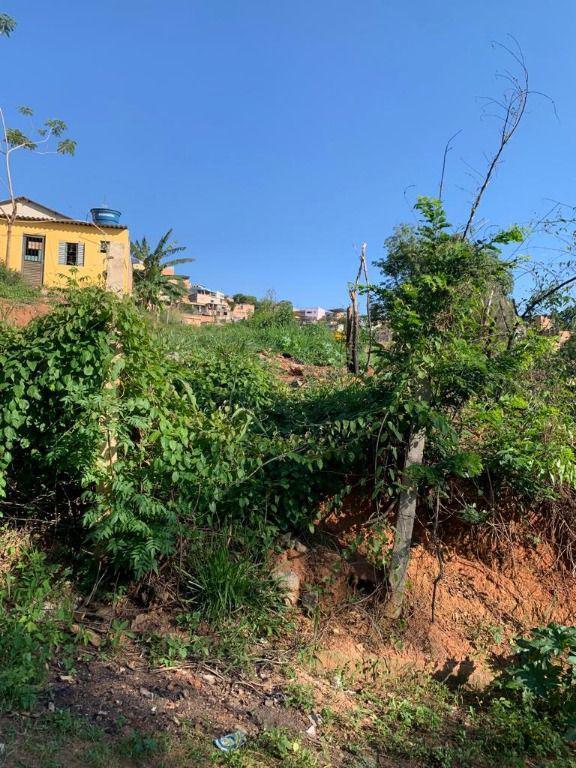 Lote, Rosário, 0 Quarto, 0 Vaga