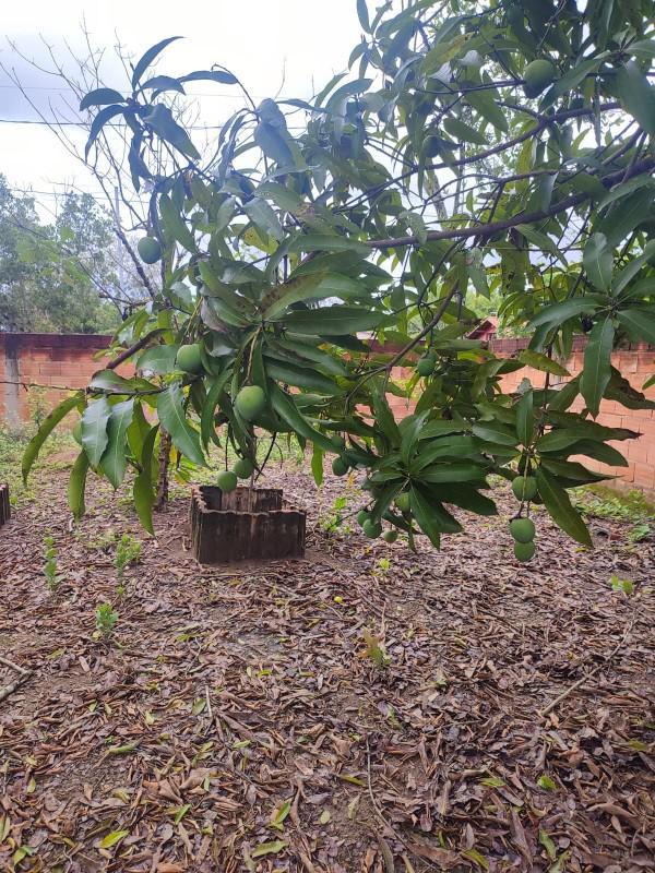Fazenda, Centro, 2 Quartos, 15 Vagas