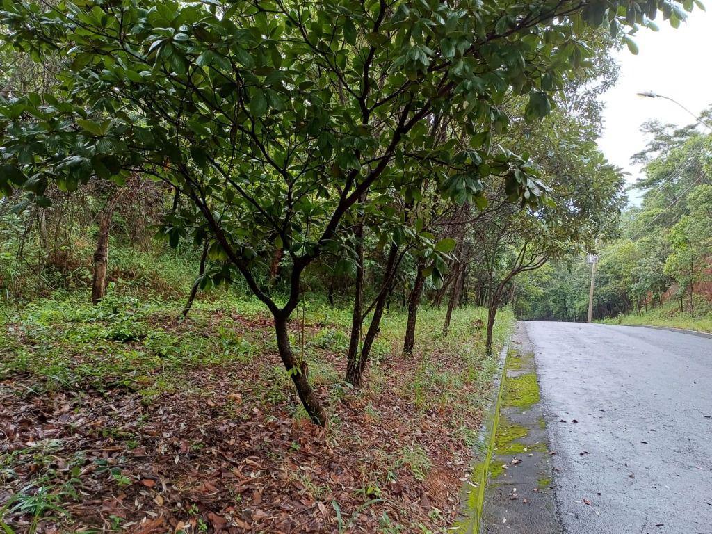 Lote, Piedade do Paraopeba, 0 Quarto, 0 Vaga