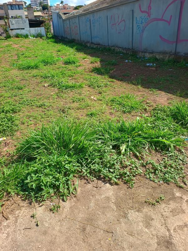 Lote, Parque Maracanã, 0 Quarto, 0 Vaga