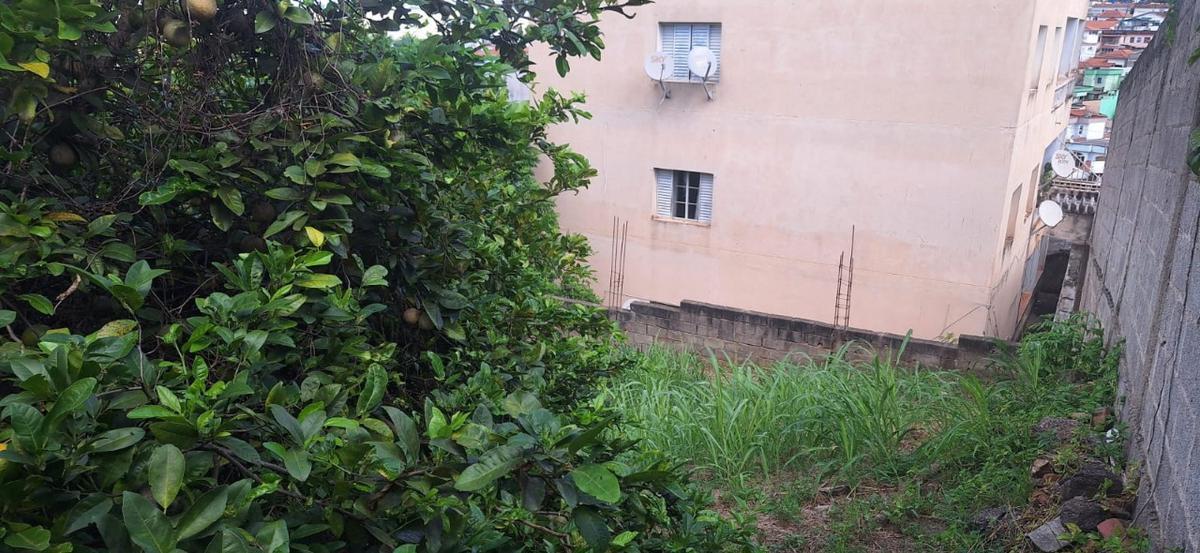 Lote, Centro, 0 Quarto, 0 Vaga