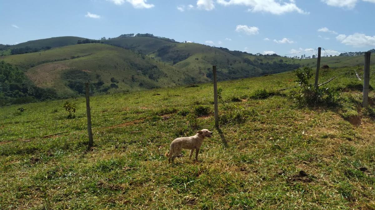 Fazenda, Centro, 0 Quarto, 0 Vaga