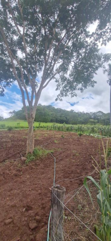 Fazenda, Centro, 0 Quarto, 0 Vaga