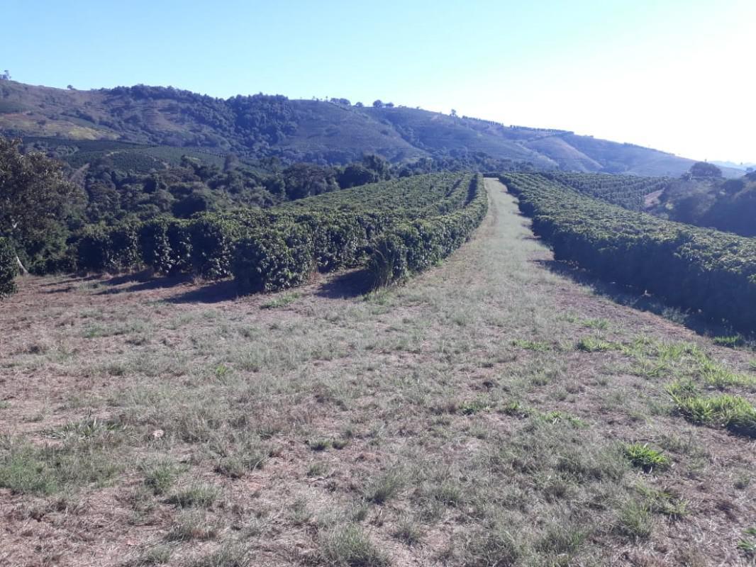 Fazenda, Zona Rural, 4 Quartos, 0 Vaga, 1 Suíte