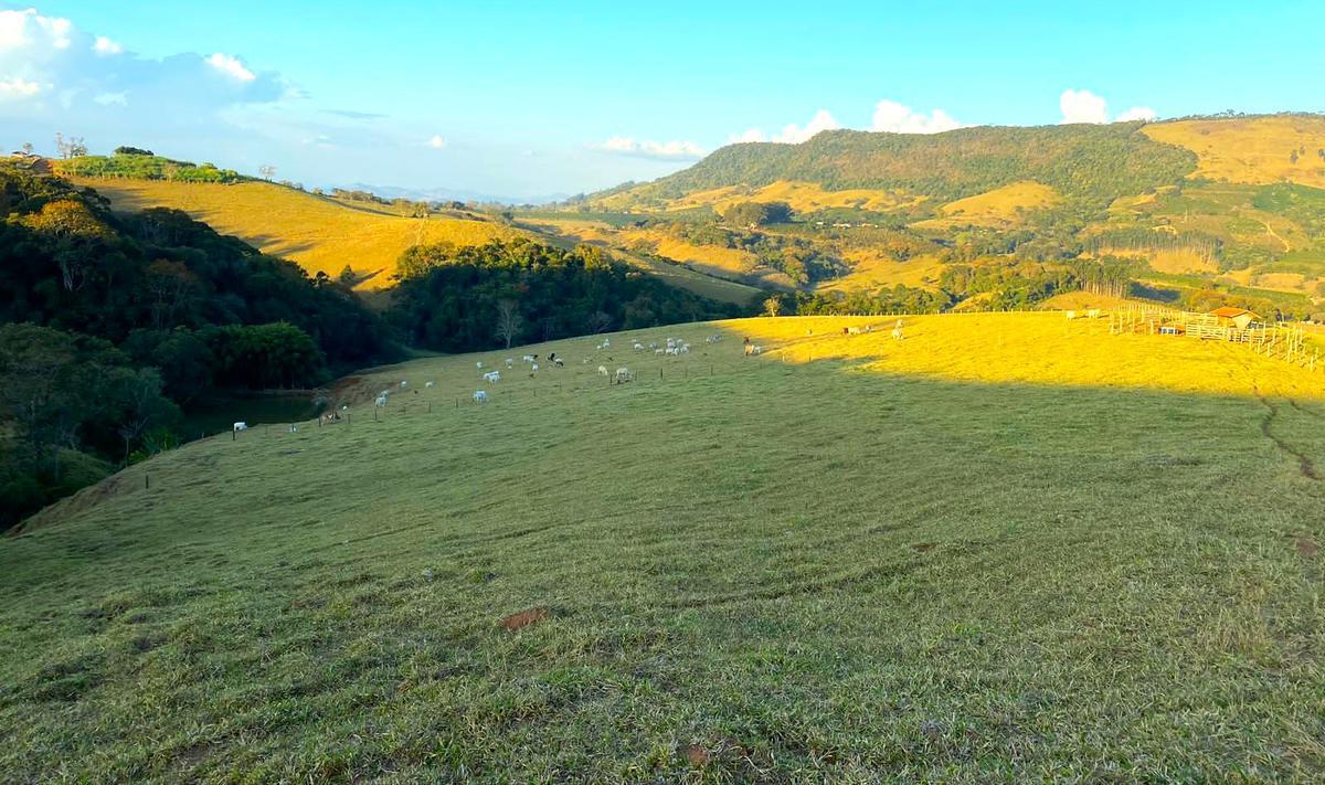 Fazenda, Zona Rural, 3 Quartos, 0 Vaga