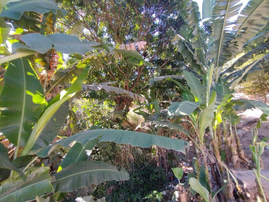 Casa, São José, 1 Quarto, 1 Vaga