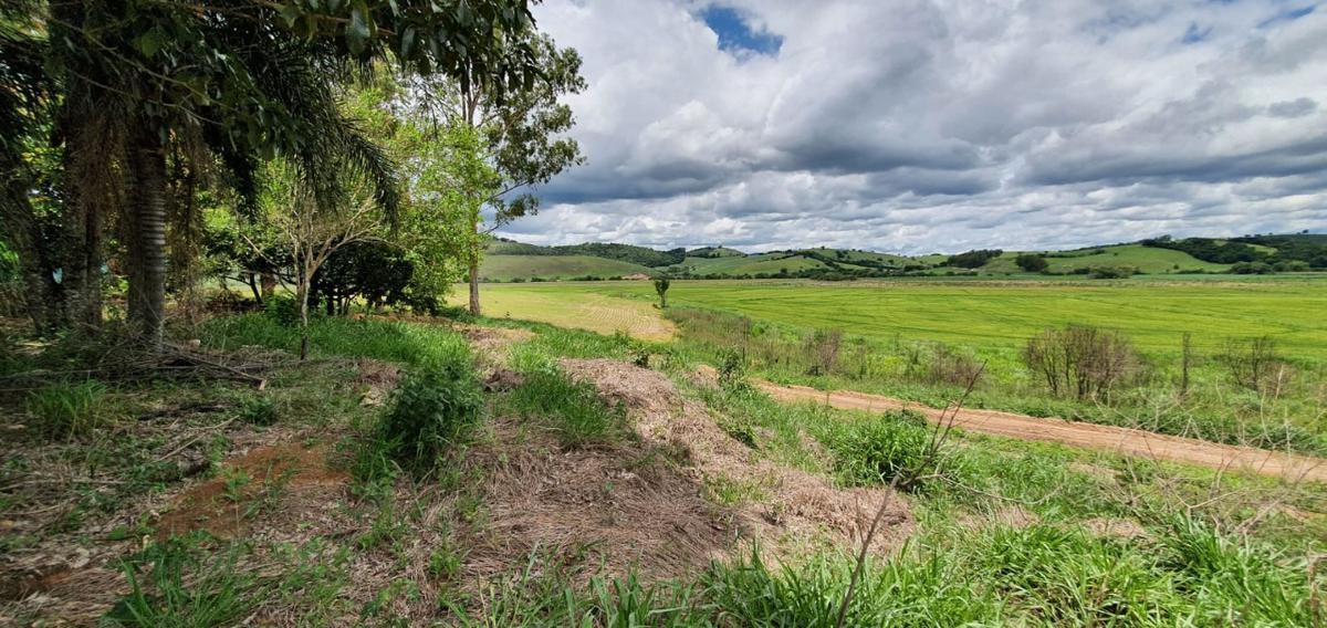 Fazenda, Centro, 1 Quarto, 1 Vaga, 1 Suíte