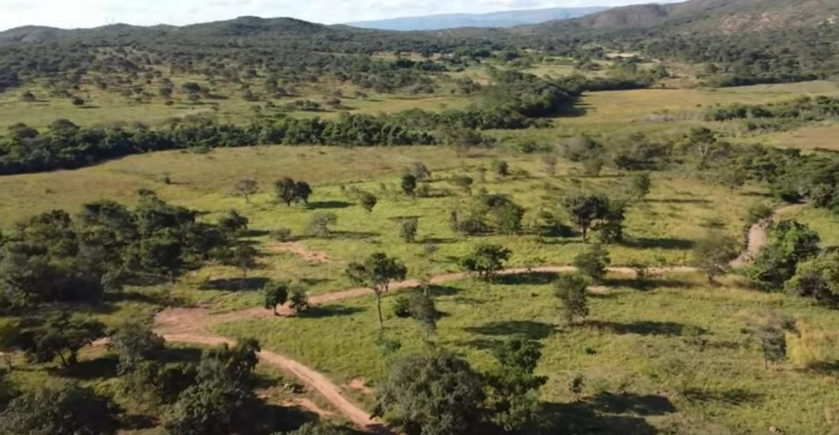 Fazenda, Centro, 4 Quartos, 0 Vaga