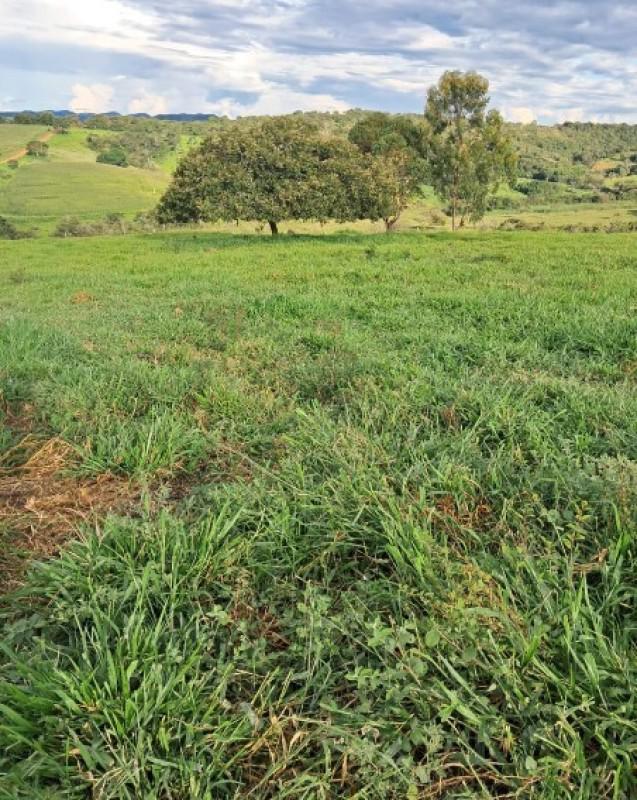 Fazenda, Centro, 1 Quarto, 0 Vaga