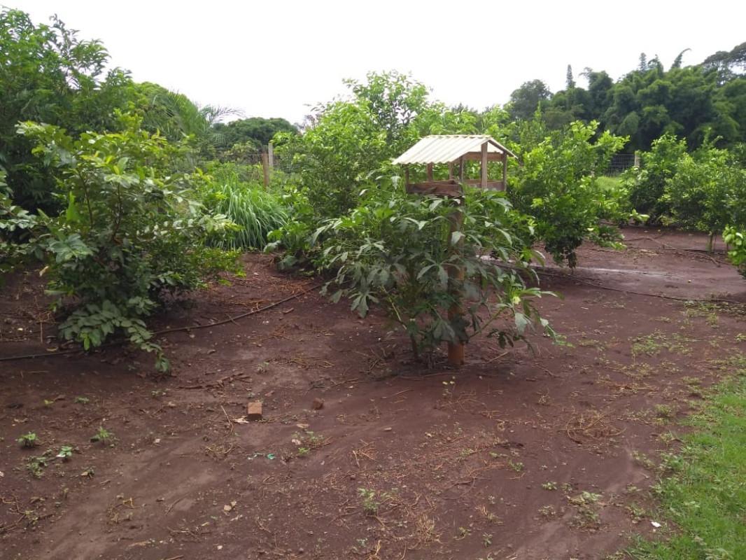 Fazenda, Zona Rural, 0 Quarto, 0 Vaga, 5 Suítes