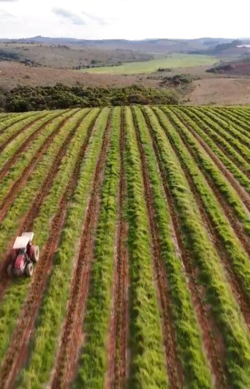 Fazenda, Zona Rural, 0 Quarto, 0 Vaga