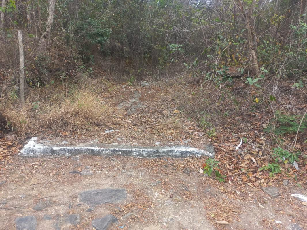 Lote, Gentileza, 0 Quarto, 0 Vaga