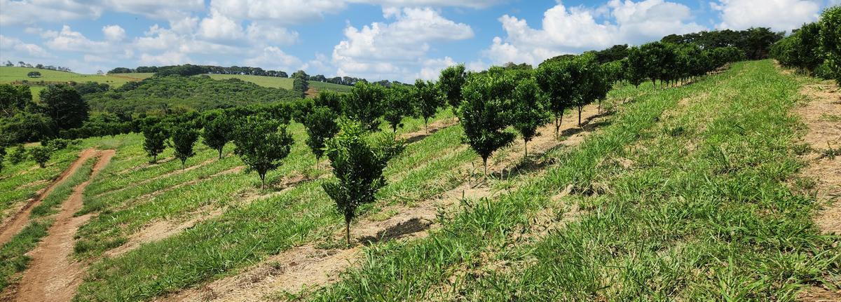 Fazenda, Zona Rural, 3 Quartos, 2 Vagas, 1 Suíte