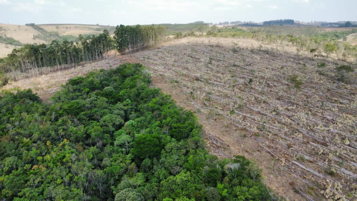 Fazenda, Zona Rural, 4 Quartos, 0 Vaga