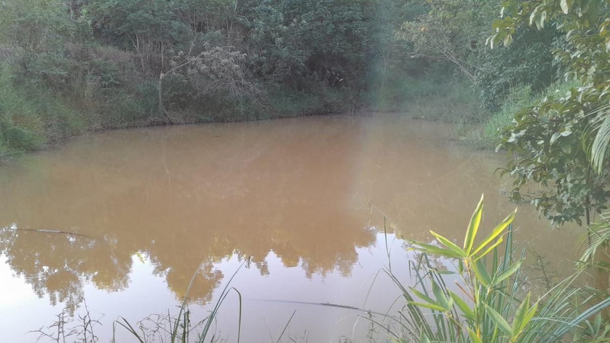 Fazenda, Zona Rural, 0 Quarto, 0 Vaga