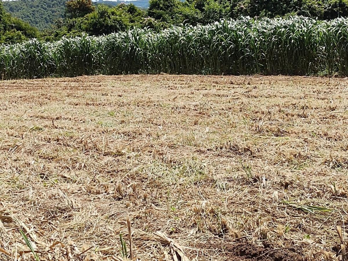 Fazenda, Zona Rural, 4 Quartos, 2 Vagas