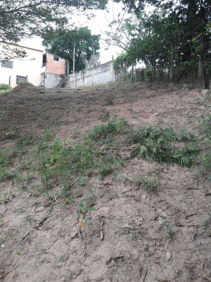Lote, Salomé, 0 Quarto, 0 Vaga