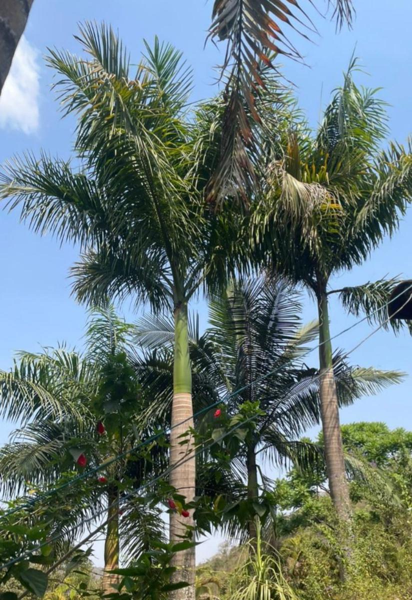 Fazenda, Centro, 4 Quartos, 10 Vagas