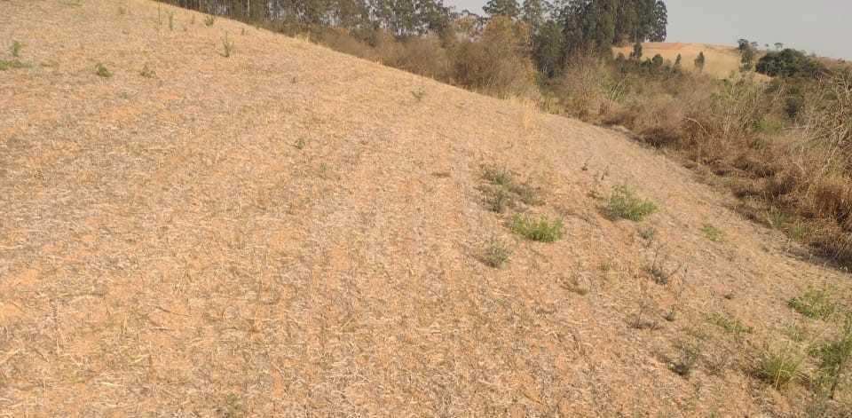 Fazenda, Zona Rural, 1 Quarto, 0 Vaga
